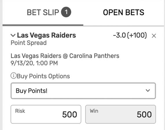 Online sports bet slip